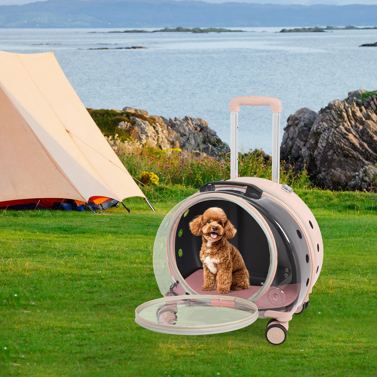 Transparent Acrylic Pet Carrier With Wheels For Small Pets