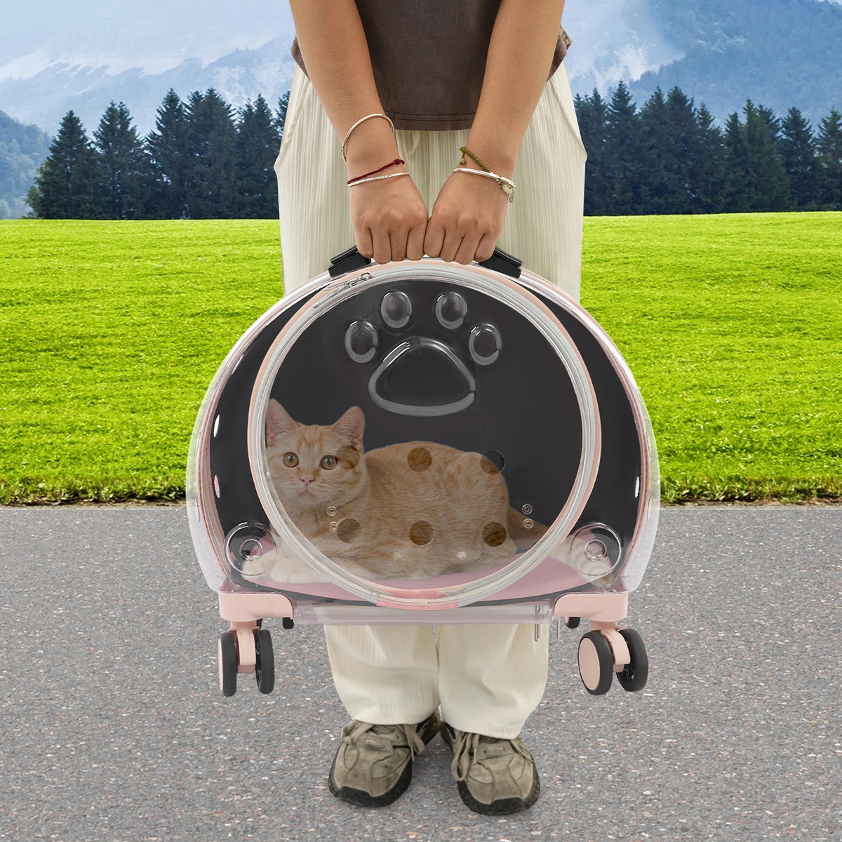 Transparent Acrylic Pet Carrier With Wheels For Small Pets