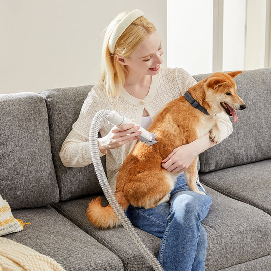 Professional Pet Grooming Vacuum Kit And Cordless Rechargeable Clippers