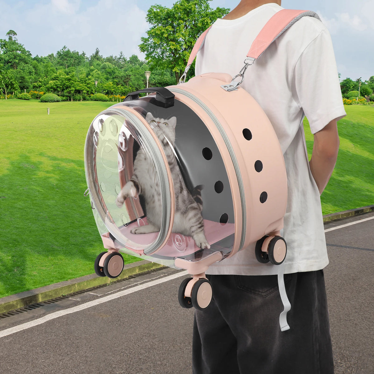 Transparent Acrylic Pet Carrier With Wheels For Small Pets