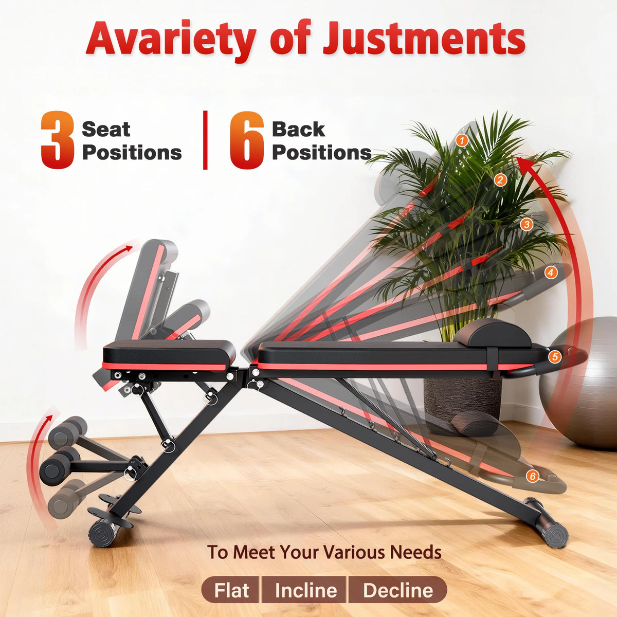 Multi Functional Foldable Dumbbell Bench For Full Body Training