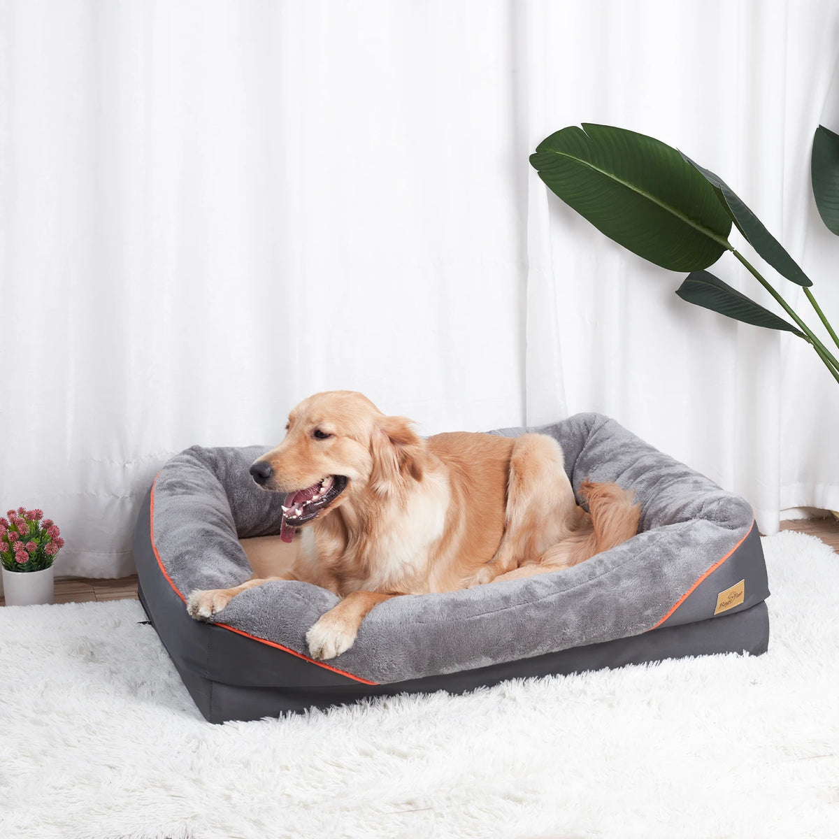 Bingopaw Soft Fleece Dog Bed Featuring Removable Washable Cover